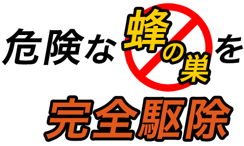 危険な蜂の巣を完全駆除