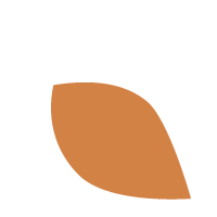 wing
