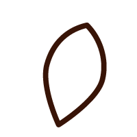 wing